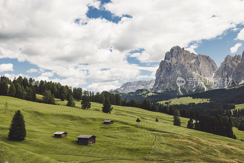 在Seiser Alm, Val Gardena, Dolomites修剪整齐的草地